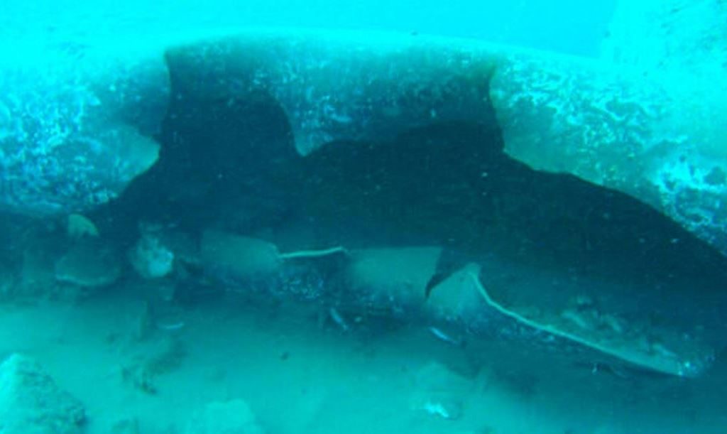 22 июня пять линий подводного нефтепровода возле города Банияс на северо-западе Сирии были взорваны.