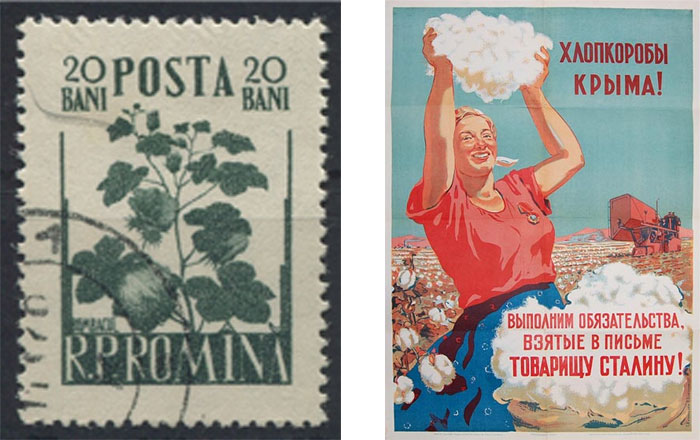 _ почтовая марка Румынии с хлопком, 1956.jpg
